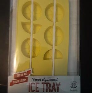 Freshly Squeezed Lemon Lime Cube Ice Tray Silicone Mold Lemonade Aid Your Drink!